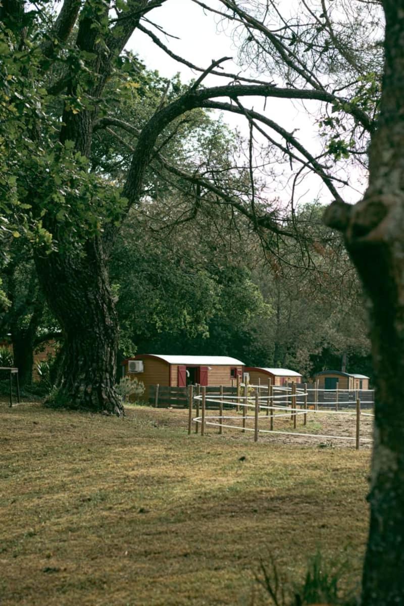 Roulottes Cocooning Au Coeur Des Landes Hotel Mees Bagian luar foto