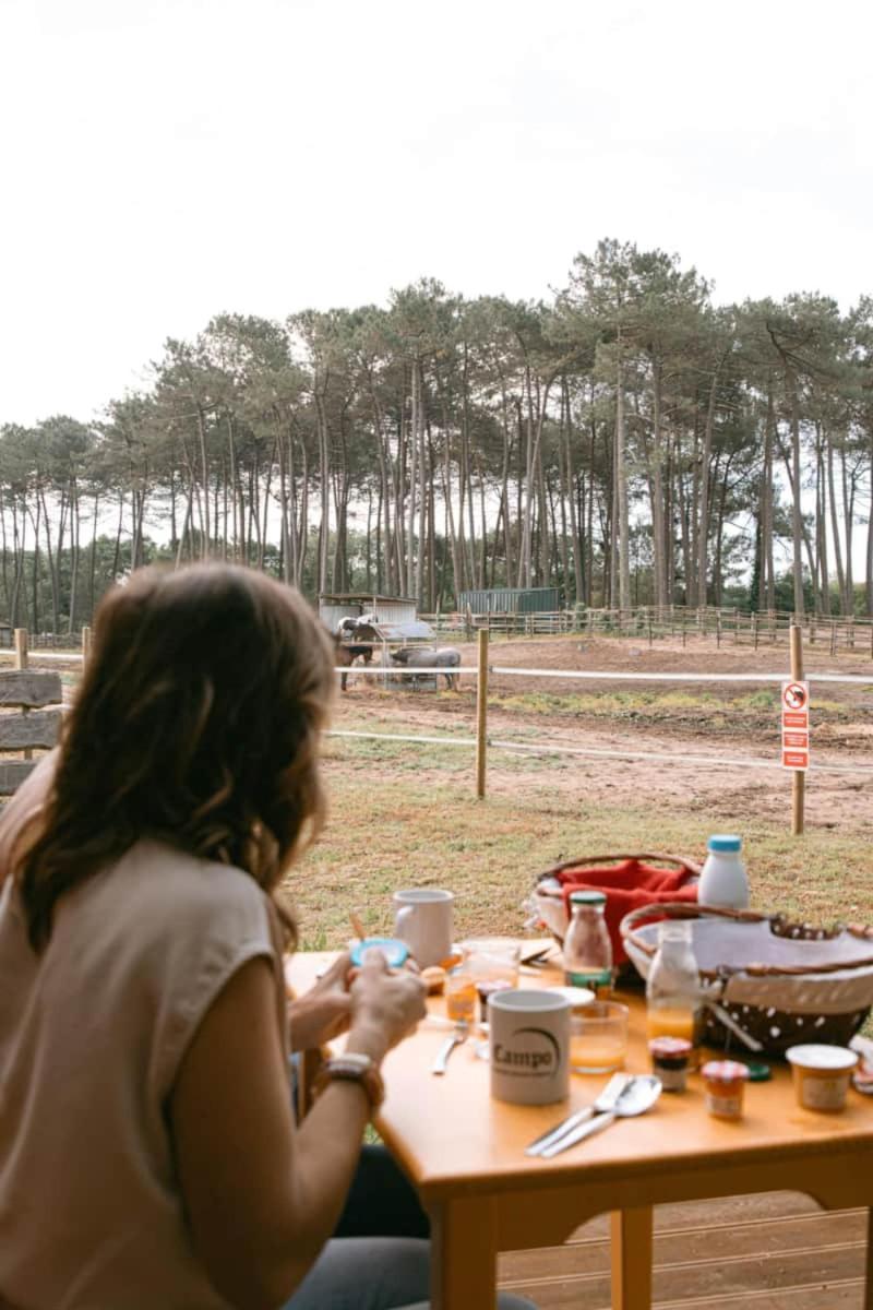 Roulottes Cocooning Au Coeur Des Landes Hotel Mees Bagian luar foto